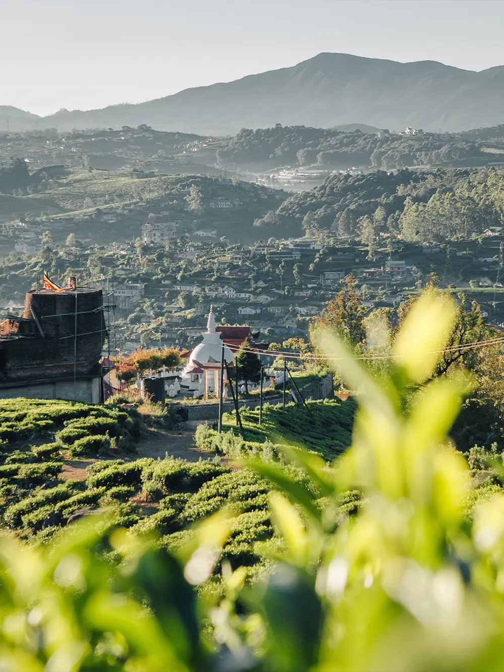 Nuwara Eliya tea highlands